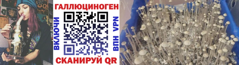 дарнет шоп  Короча  Псилоцибиновые грибы мухоморы 