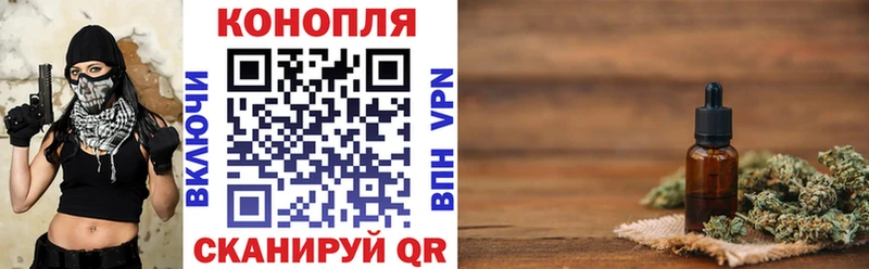 Канабис сатива  Короча 